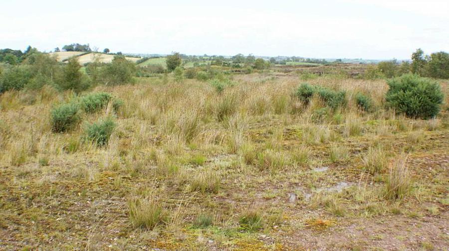 125 A Legamaghery Road