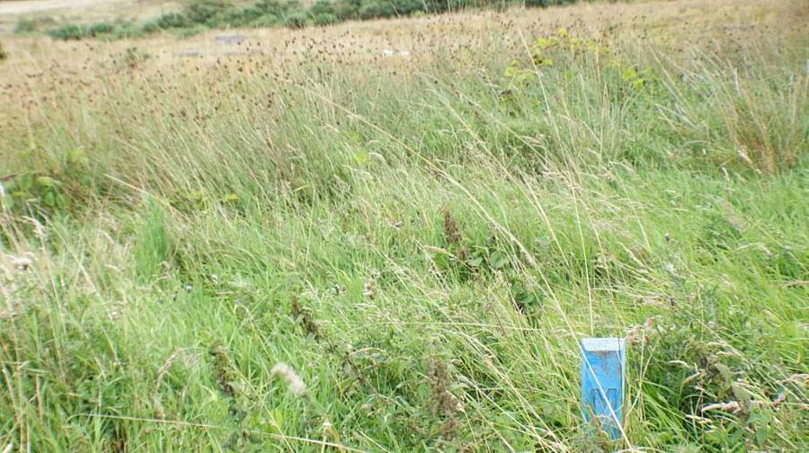 125 A Legamaghery Road