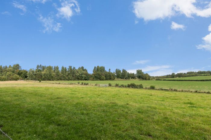 The Sycamores, 45A Loughries Road