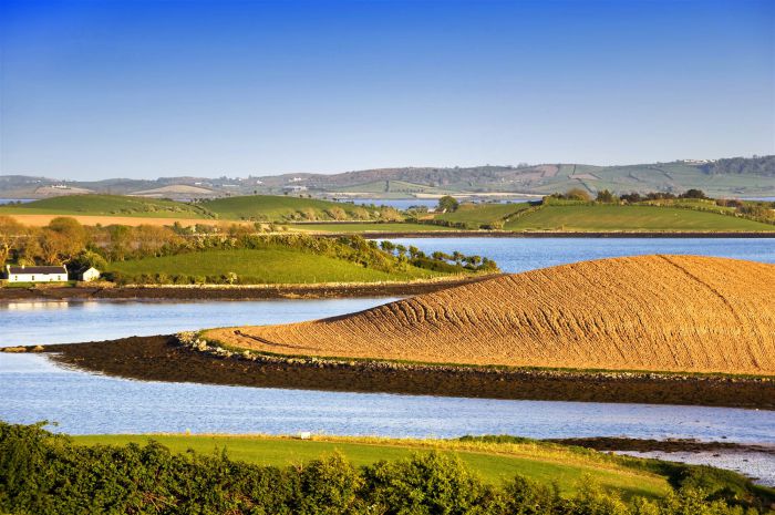 Admiralty, 16 Whitehem