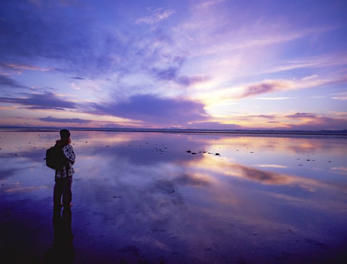 Admiralty, 16 Whitehem