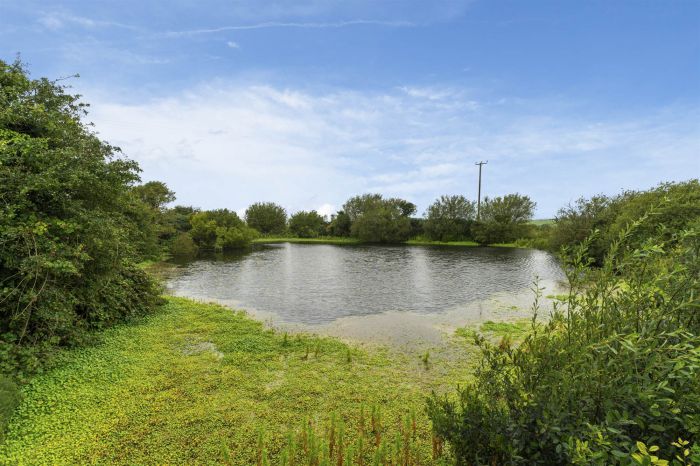 The Lodge, 18 Ballyeasborough Road