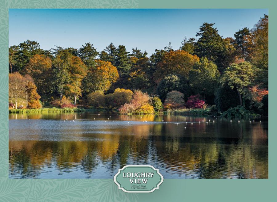 Site 3, The Emily, Loughry View