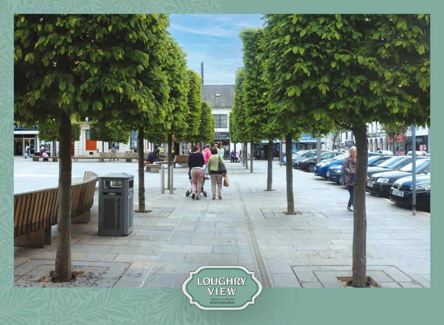 Site 3, The Emily, Loughry View