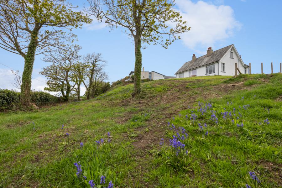 The Hide, 156 Portaferry Road