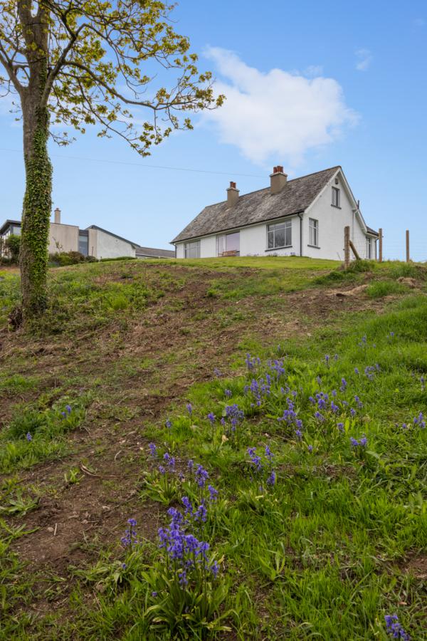 The Hide, 156 Portaferry Road