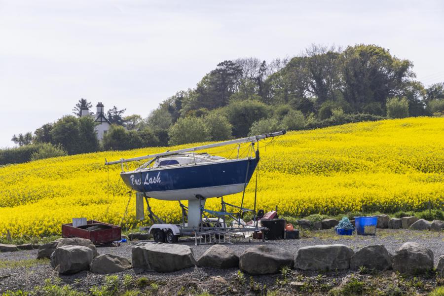 Holm Bay Building Site Adjacent, 23 Comber Road