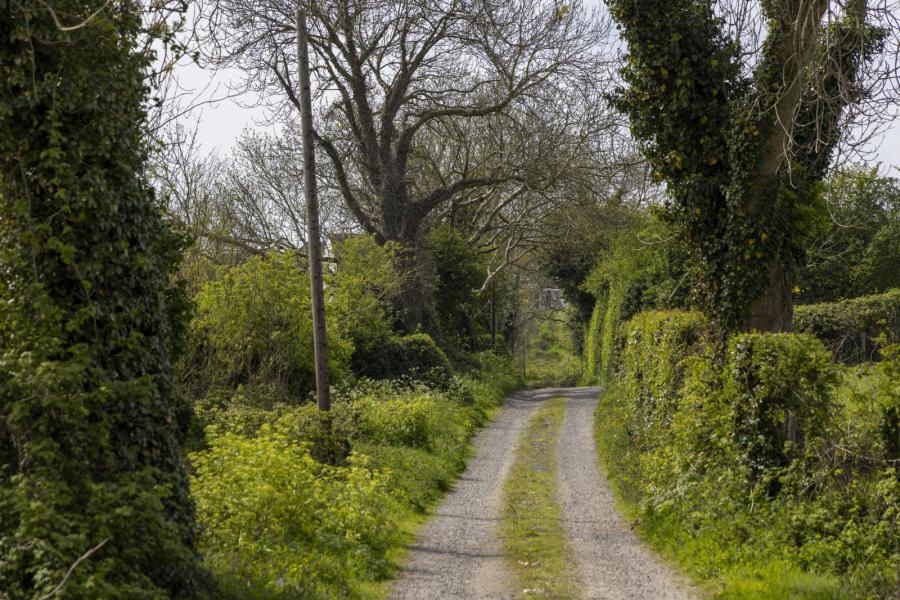 Holm Bay Building Site Adjacent, 23 Comber Road