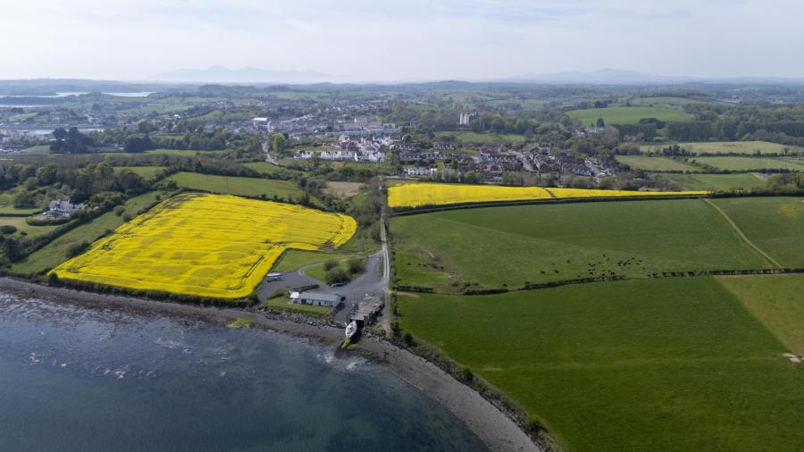 Holm Bay Building Site Adjacent, 23 Comber Road