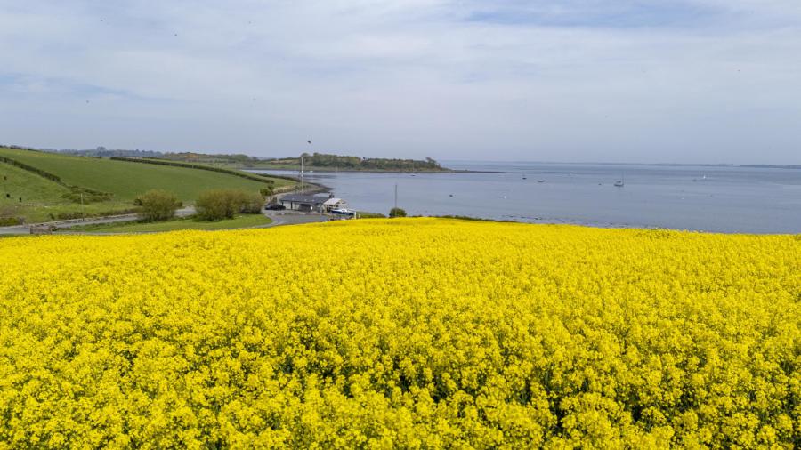 Holm Bay Building Site Adjacent, 23 Comber Road