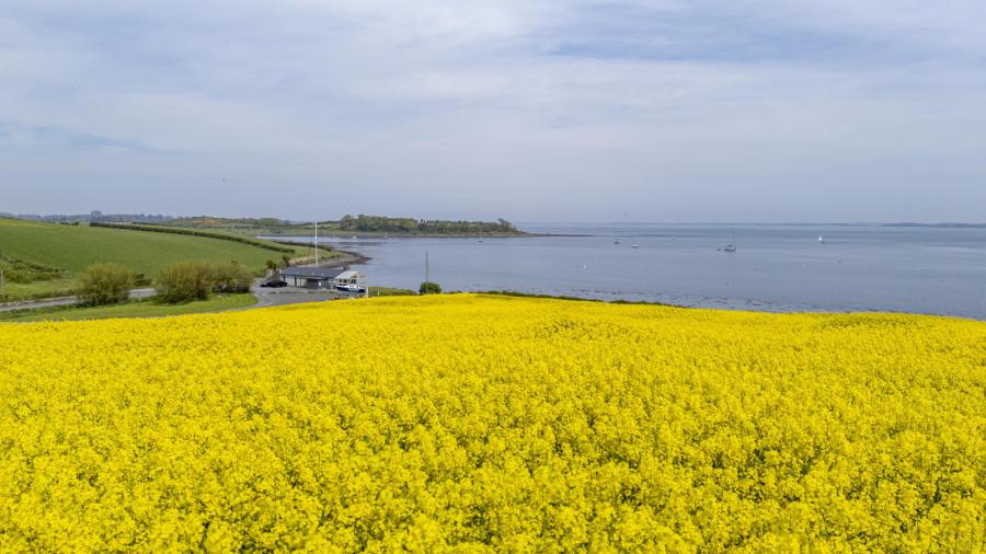 Holm Bay Building Site Adjacent, 23 Comber Road
