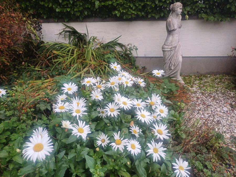 Beech Cottage, 5 Brooklands Road
