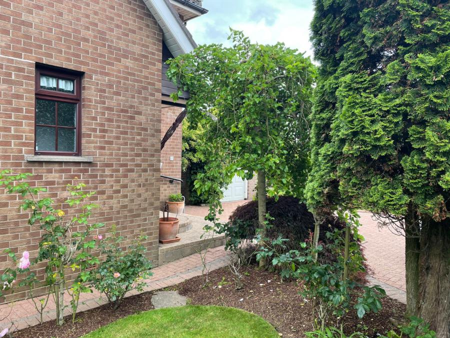 3 Lynnehurst Park