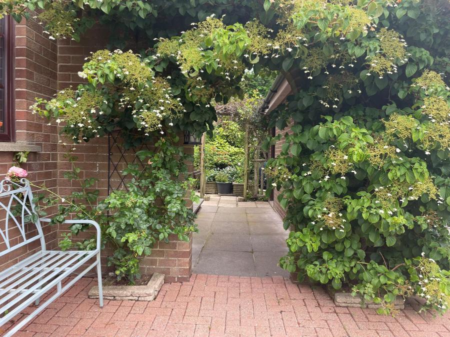 3 Lynnehurst Park
