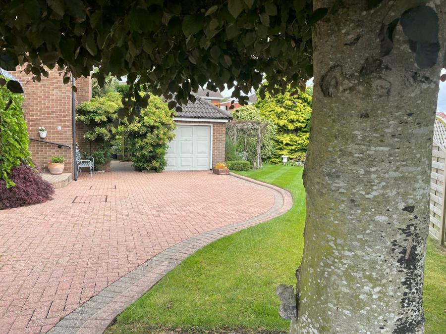 3 Lynnehurst Park