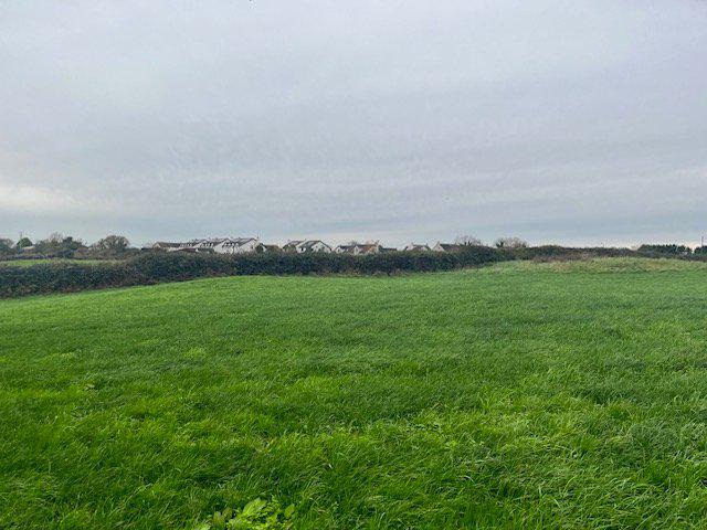 Potential Site Plus 5 Acres @, 6 Manse Road