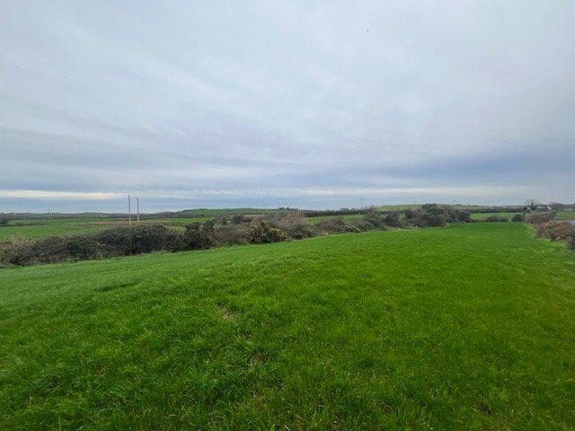 Potential Site Plus 5 Acres @, 6 Manse Road