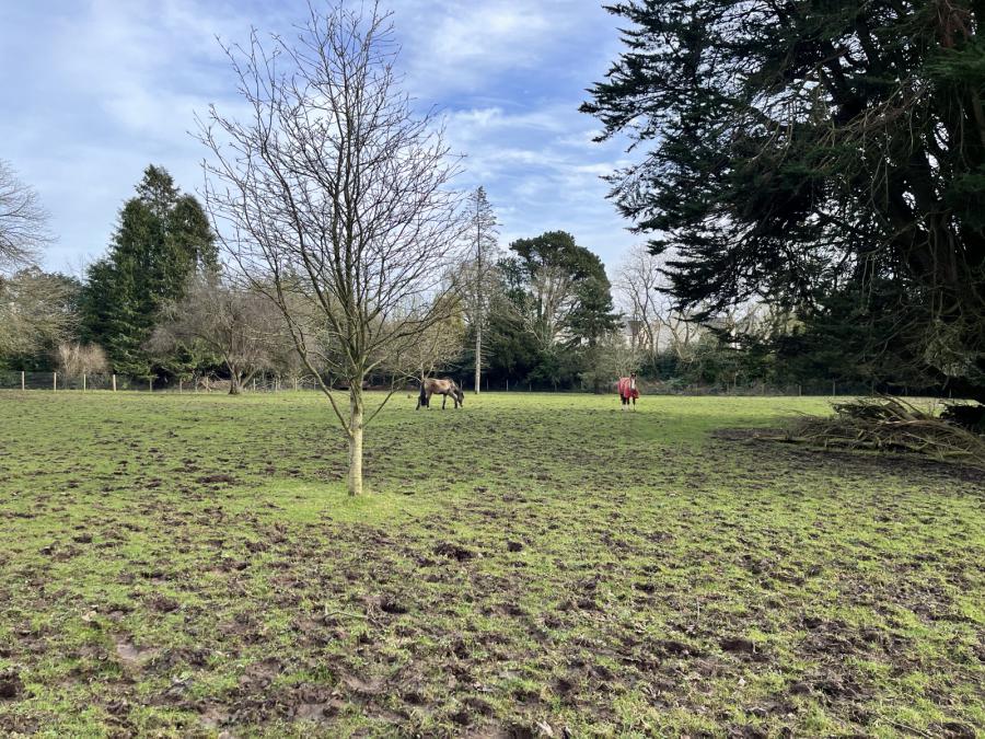 Maxwell Court, 15 Ballygowan Road