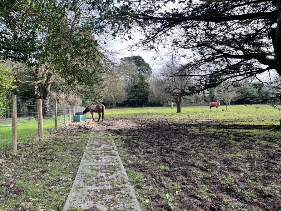 Maxwell Court, 15 Ballygowan Road