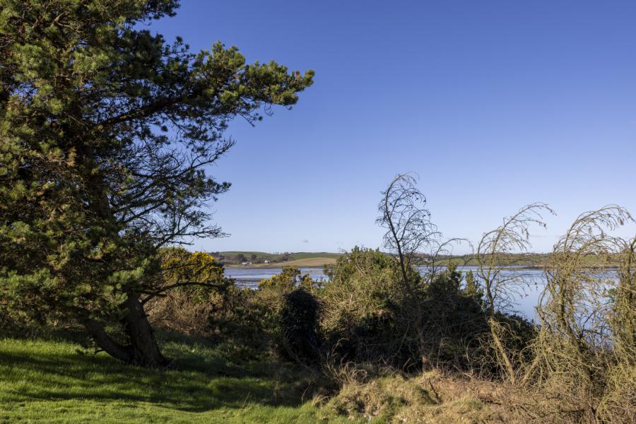 Cadew Point, 42 Ballydorn Road