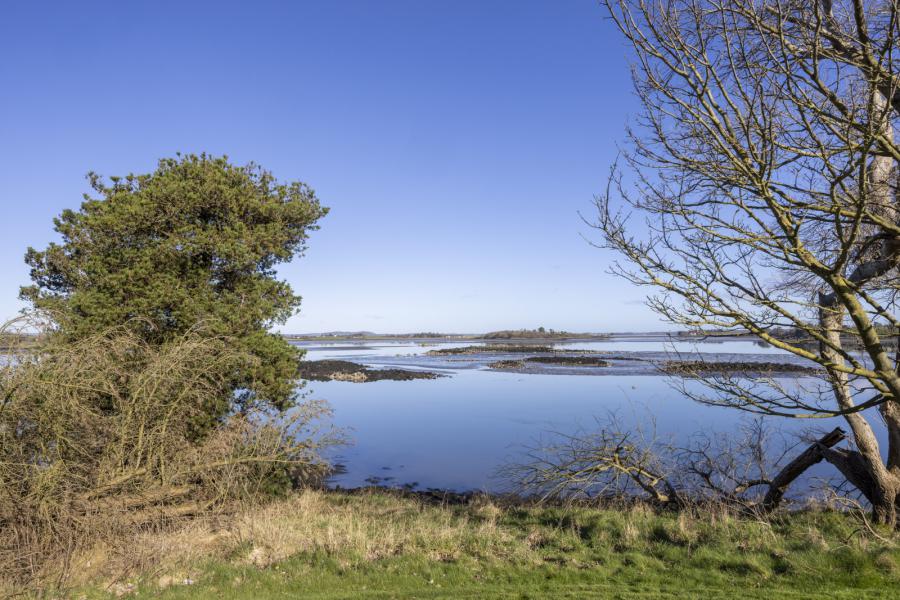 Cadew Point, 42 Ballydorn Road