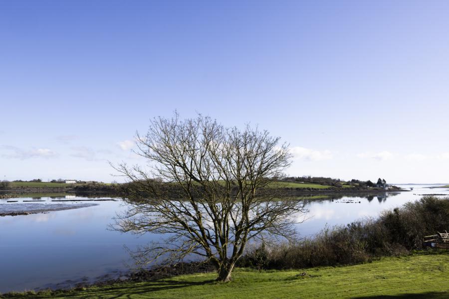 Cadew Point, 42 Ballydorn Road