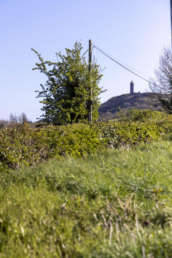 C.41 Acres Of Agricultural Lands At, Milecross Road