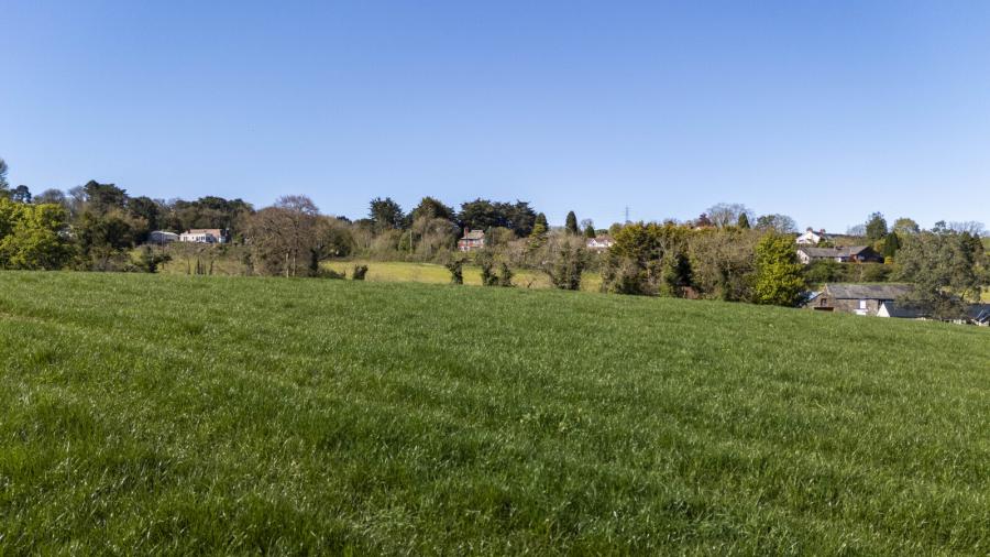 C.41 Acres Of Agricultural Lands At, Milecross Road