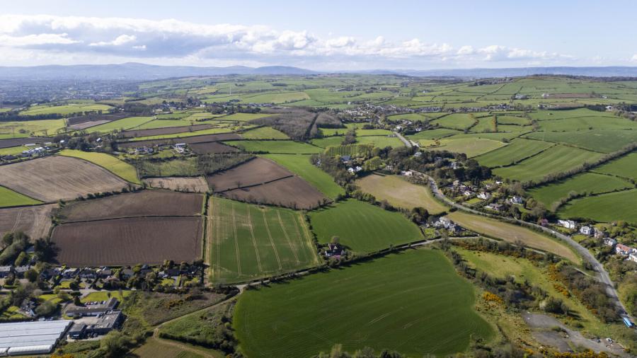 C.41 Acres Of Agricultural Lands At, Milecross Road