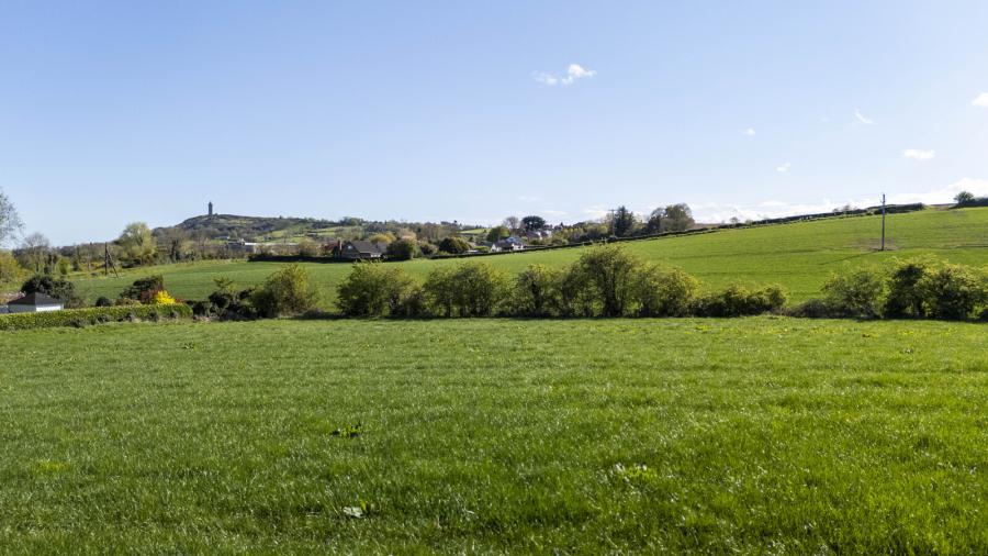 C.41 Acres Of Agricultural Lands At, Milecross Road