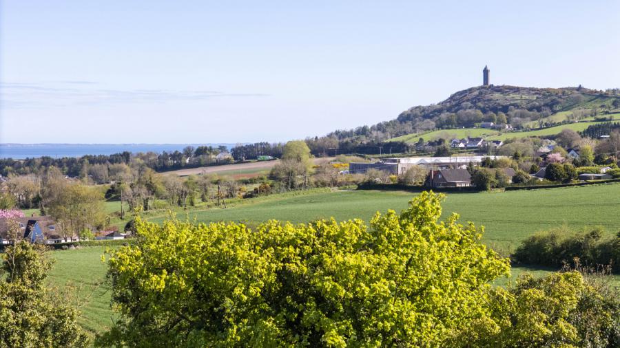 C.41 Acres Of Agricultural Lands At, Milecross Road