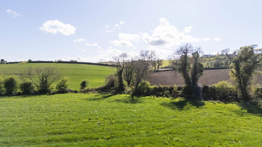 C.41 Acres Of Agricultural Lands At, Milecross Road