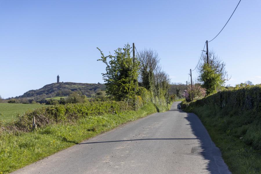 C.41 Acres Of Agricultural Lands At, Milecross Road