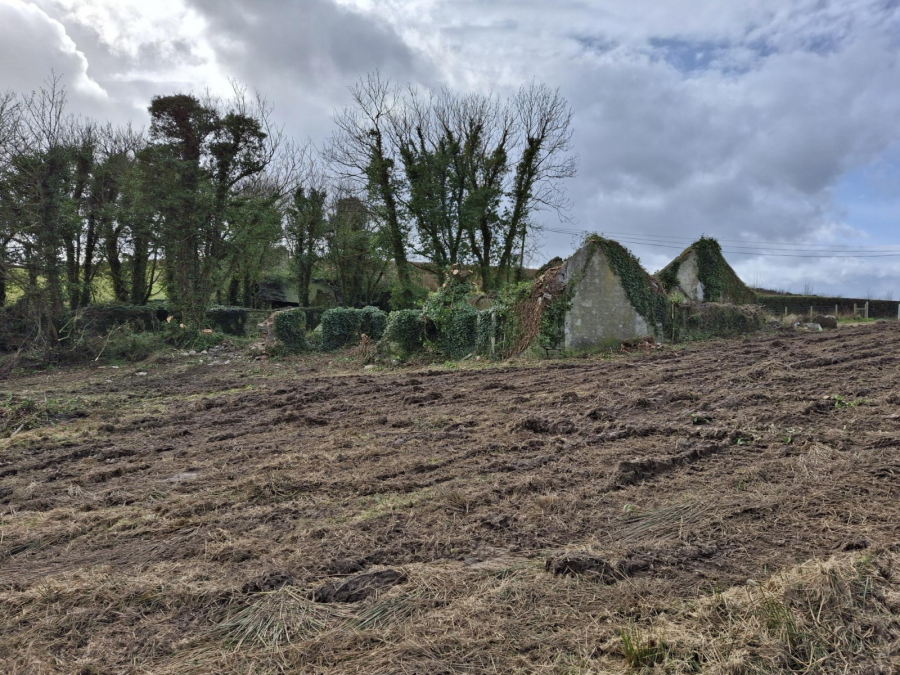 Building Site At 30 Ardmillan Road, Lisbane