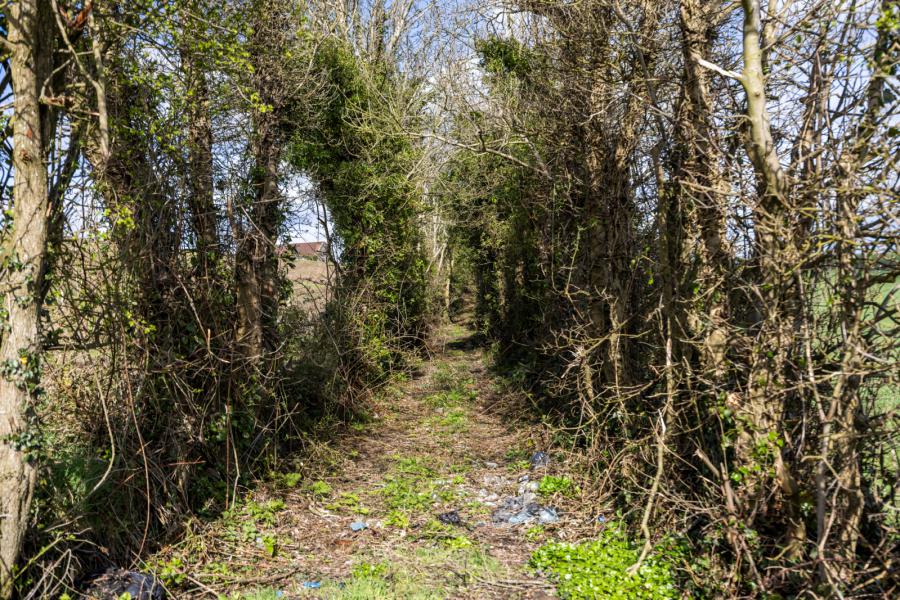 Building Site At 32 Ardmillan Road, Lisbane
