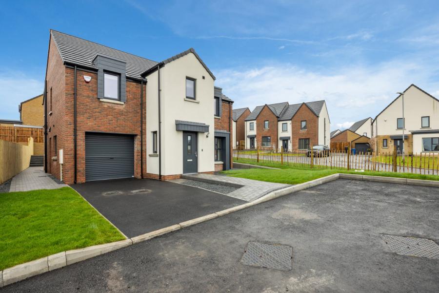 Site 245, Ballylowen A87.2, Enlerbank