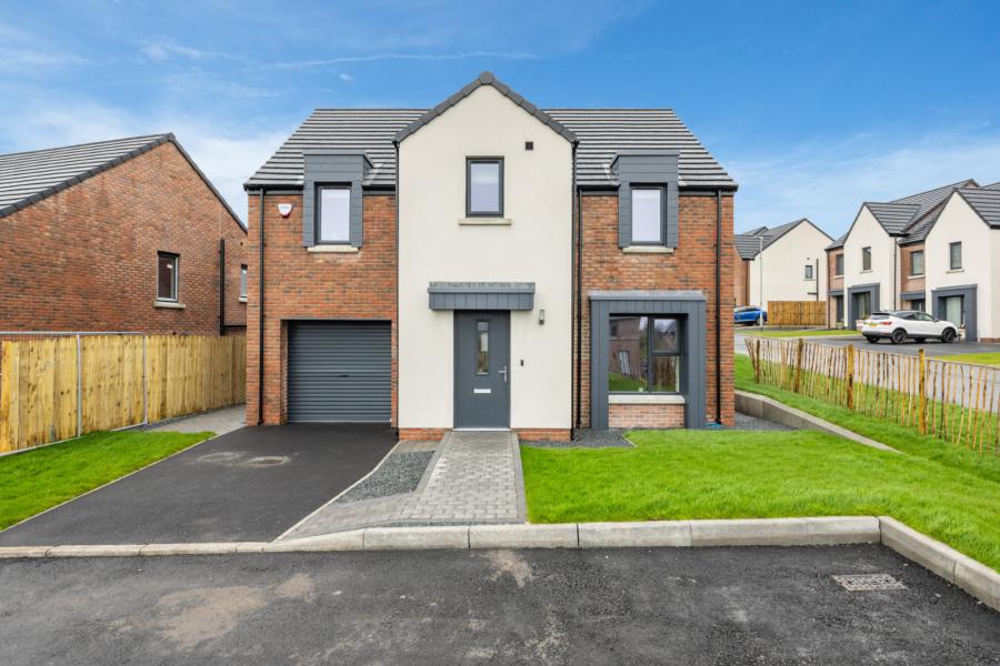 Site 245, Ballylowen A87.2, Enlerbank