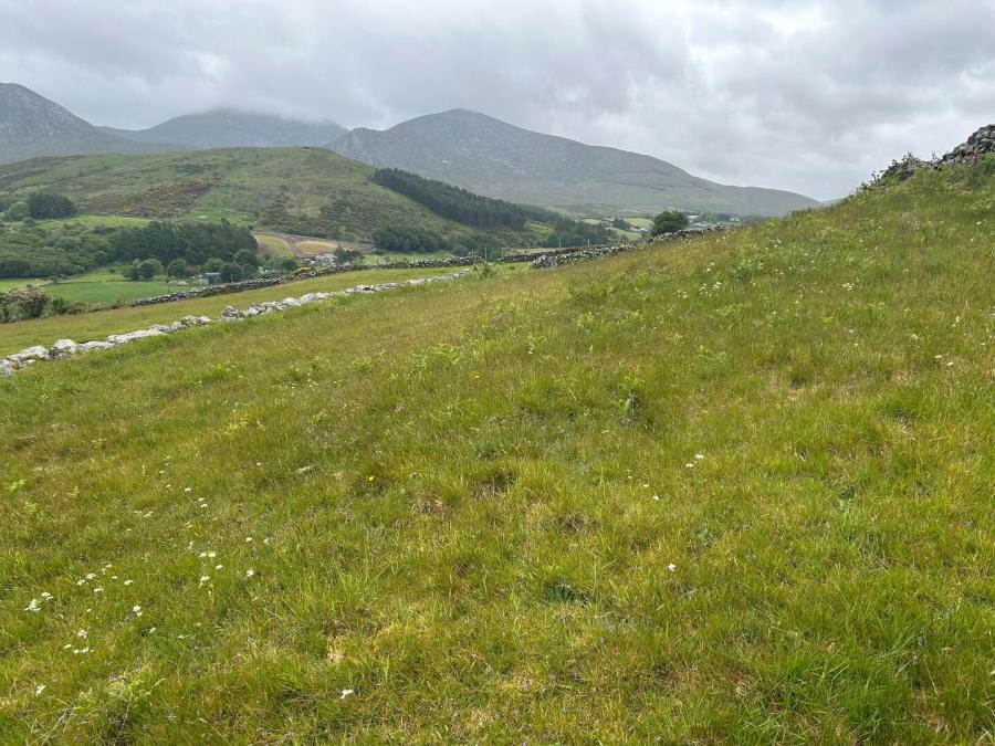 Hilltown Road