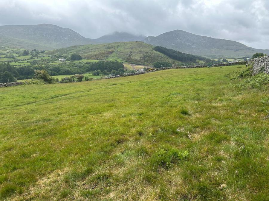 Hilltown Road