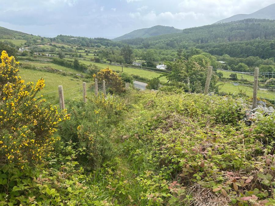 Hilltown Road
