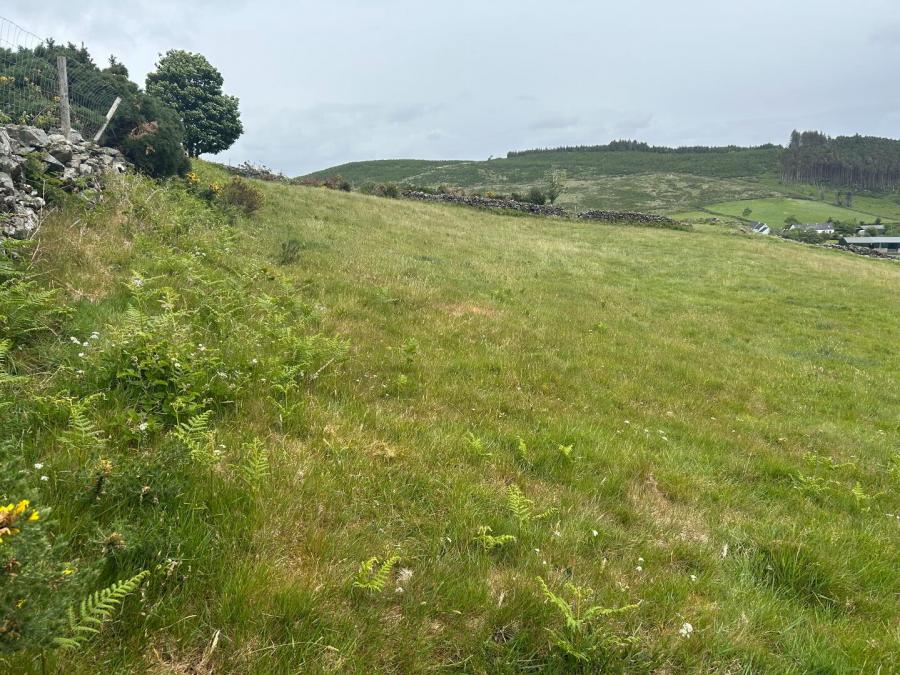 Hilltown Road