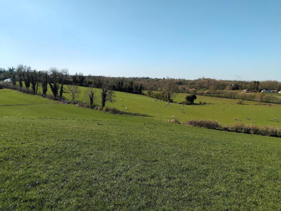 170 Clones Road