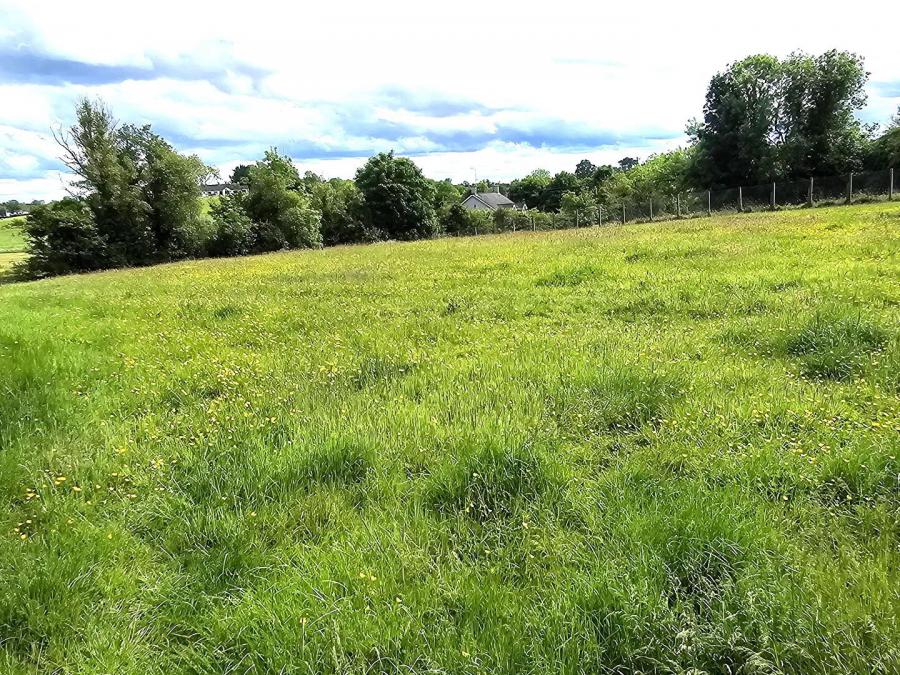 34 Rabbitburrow Road