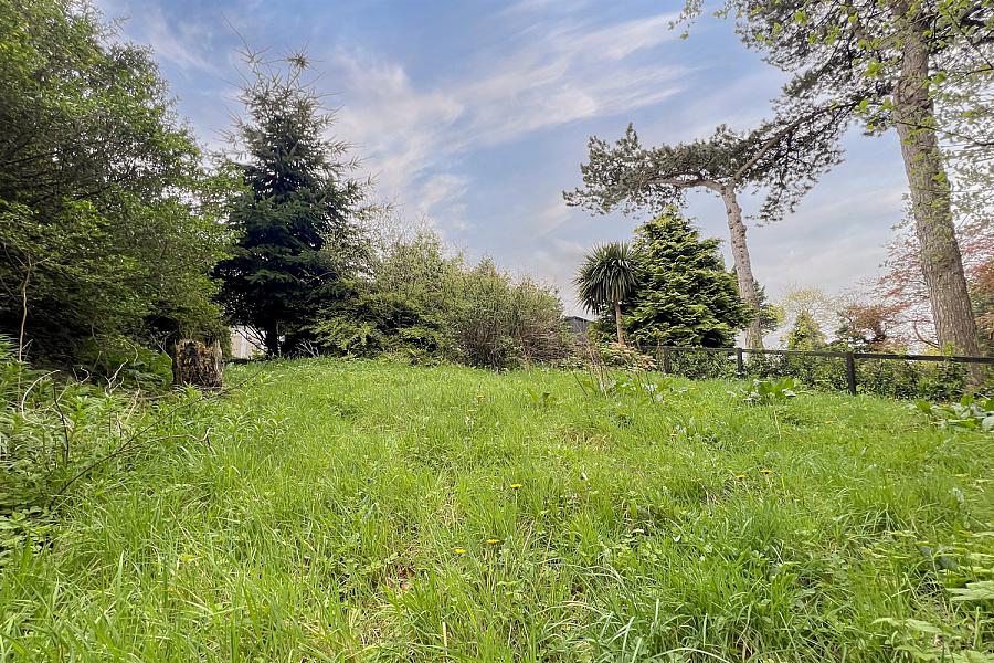 3A Dromara Road