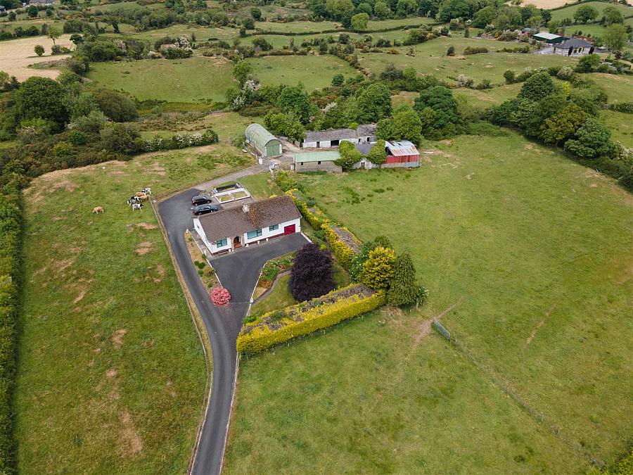81 Lisburn Road