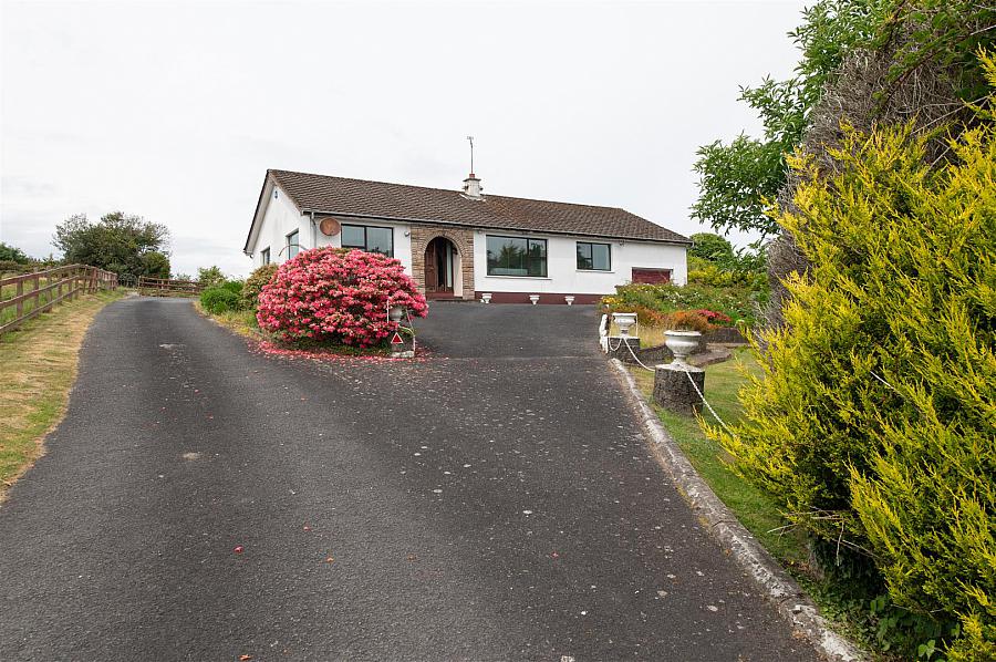 81 Lisburn Road