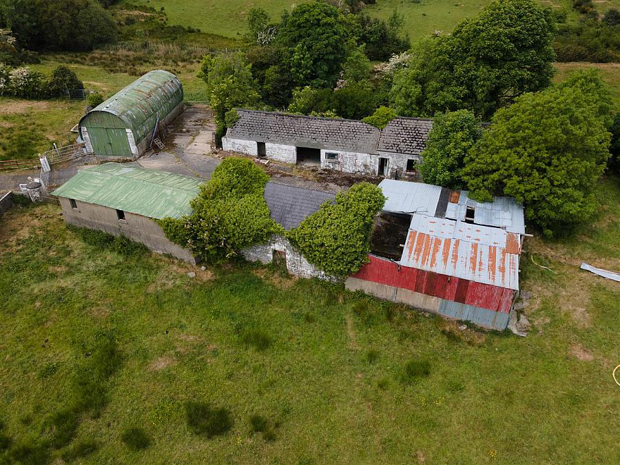 81 Lisburn Road