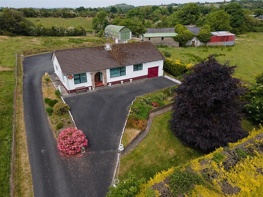 81 Lisburn Road