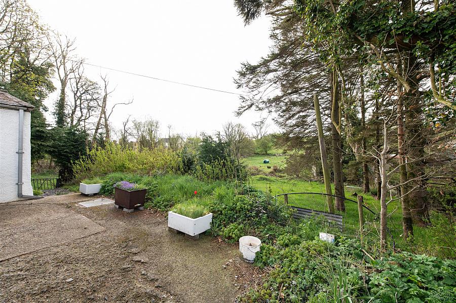 87 Ballynahinch Road