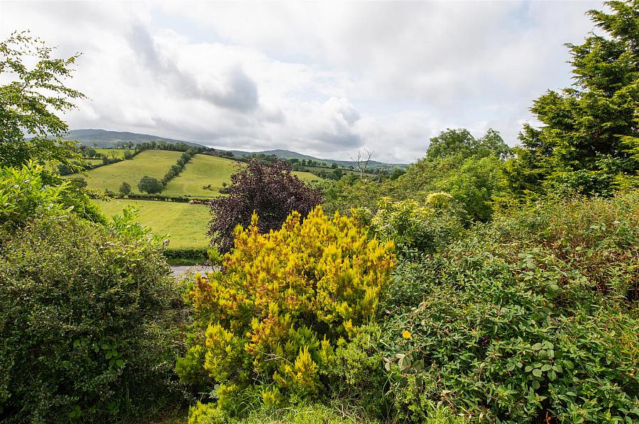 24 Ballynahinch Road